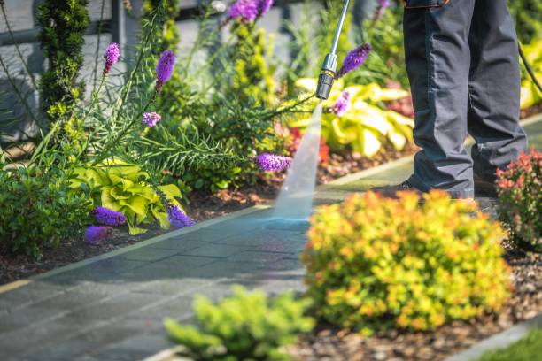 Reliable Aurora, CO Pressure Washing Services Solutions